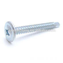 Truss Head Steel Self Drilling Phillips Zinc Colored Screws